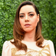 Illustration for article titled Hey Aubrey Plaza, is a hot dog a sandwich?